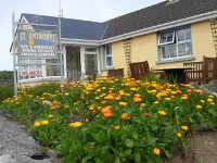 Flowers out the front of the bed and breakfast